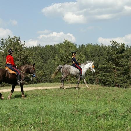 Посмотреть крупнее