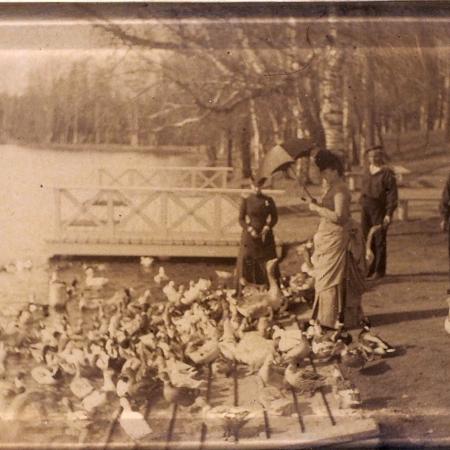 Посмотреть крупнее